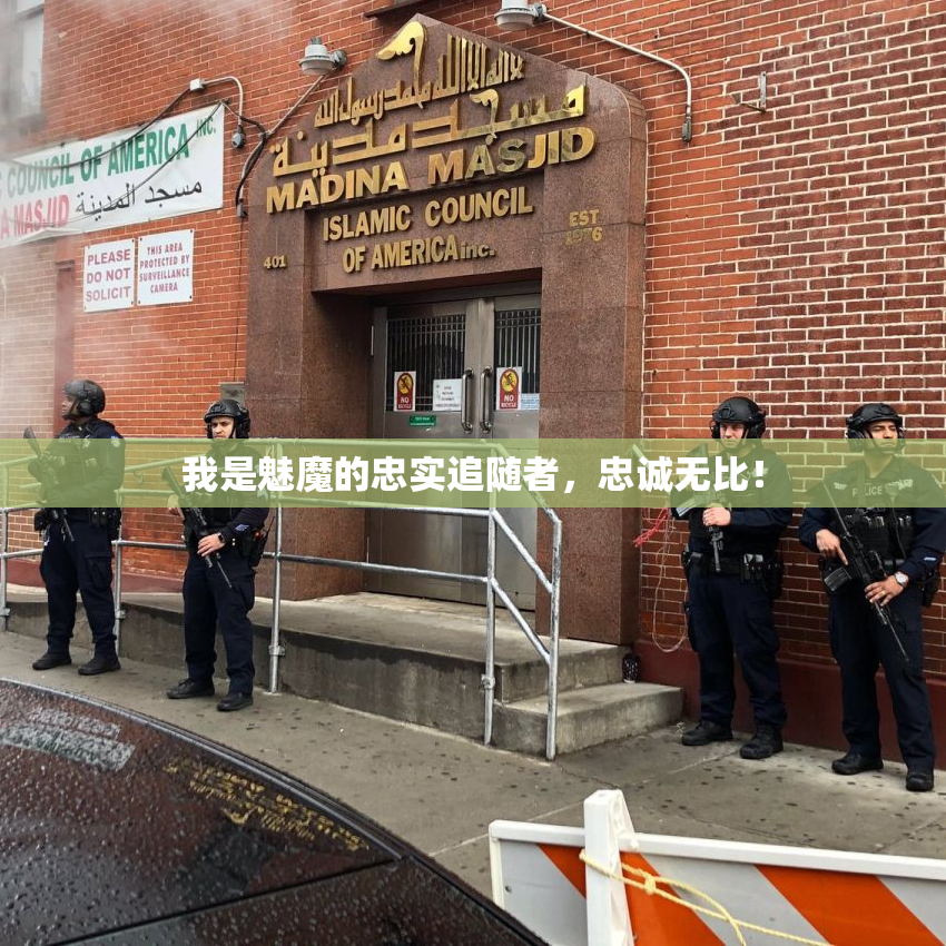 我是魅魔的忠实追随者，忠诚无比！
