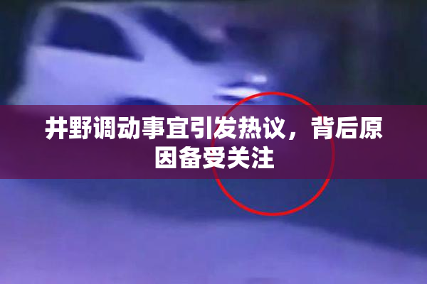 井野调动事宜引发热议，背后原因备受关注