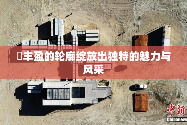 巜丰盈的轮廓绽放出独特的魅力与风采