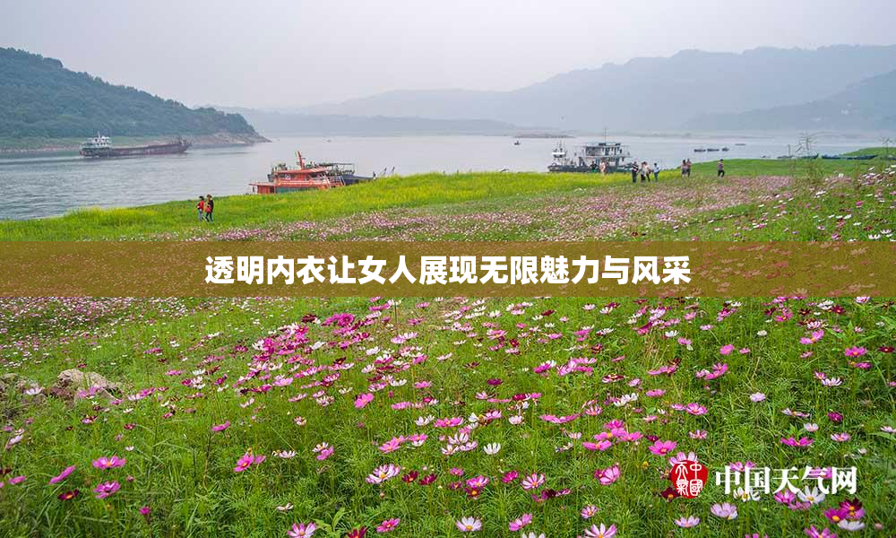透明内衣让女人展现无限魅力与风采