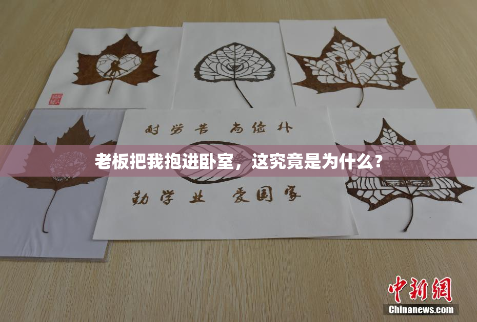 老板把我抱进卧室，这究竟是为什么？