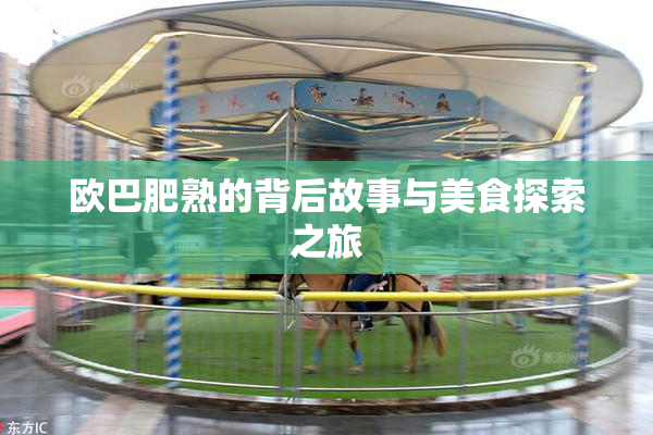 欧巴肥熟的背后故事与美食探索之旅