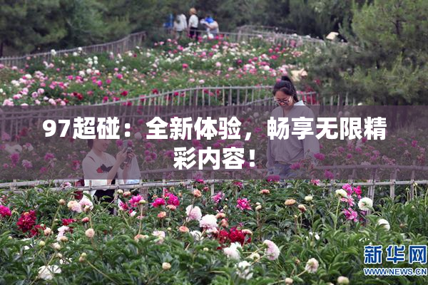 97超碰：全新体验，畅享无限精彩内容！