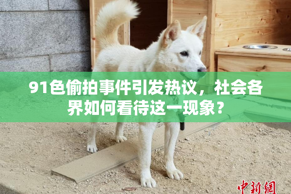 91色偷拍事件引发热议，社会各界如何看待这一现象？