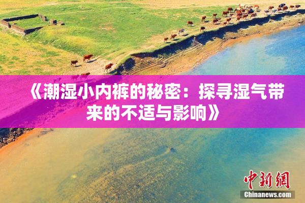 《潮湿小内裤的秘密：探寻湿气带来的不适与影响》