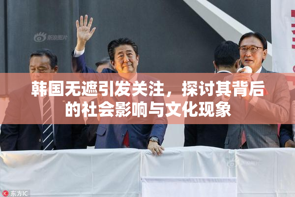 韩国无遮引发关注，探讨其背后的社会影响与文化现象