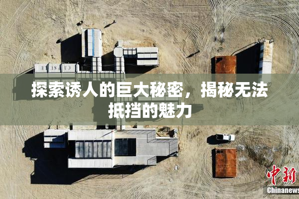探索诱人的巨大秘密，揭秘无法抵挡的魅力