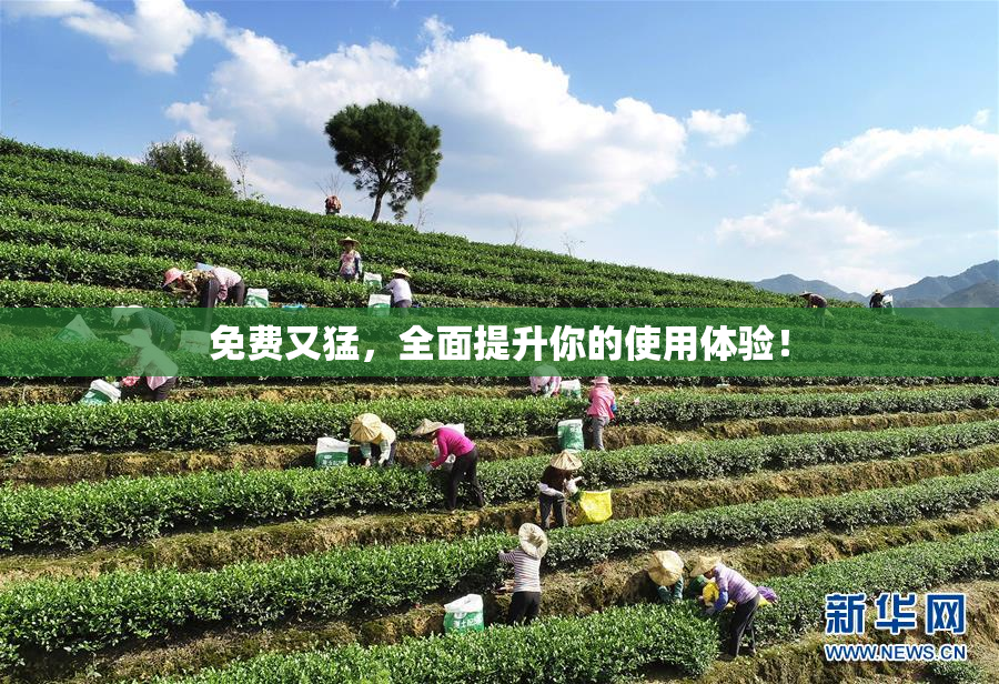免费又猛，全面提升你的使用体验！