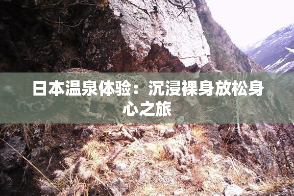 日本温泉体验：沉浸裸身放松身心之旅