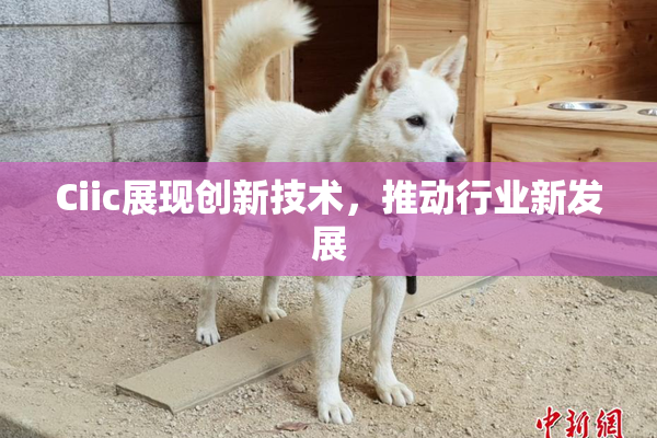 Ciic展现创新技术，推动行业新发展