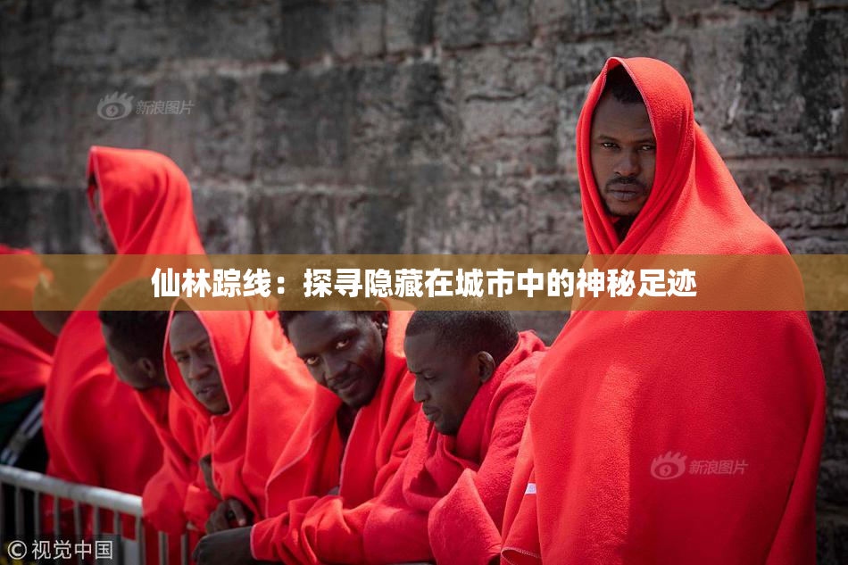仙林踪线：探寻隐藏在城市中的神秘足迹