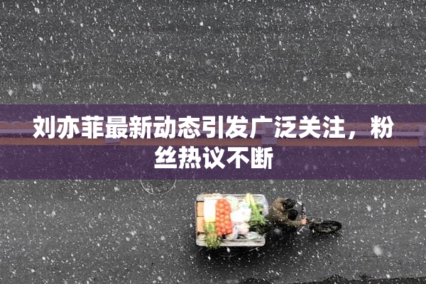 刘亦菲最新动态引发广泛关注，粉丝热议不断