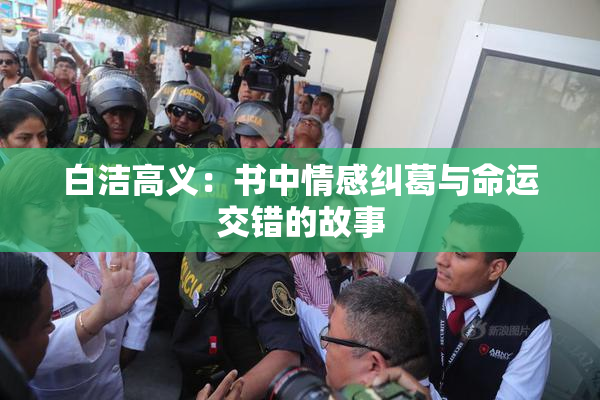白洁高义：书中情感纠葛与命运交错的故事