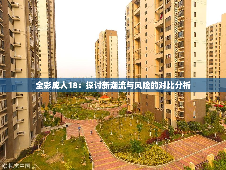 全彩成人18：探讨新潮流与风险的对比分析