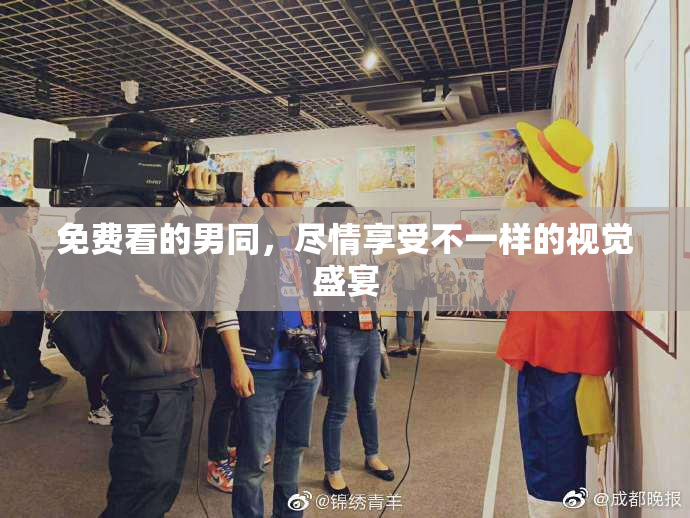 免费看的男同，尽情享受不一样的视觉盛宴