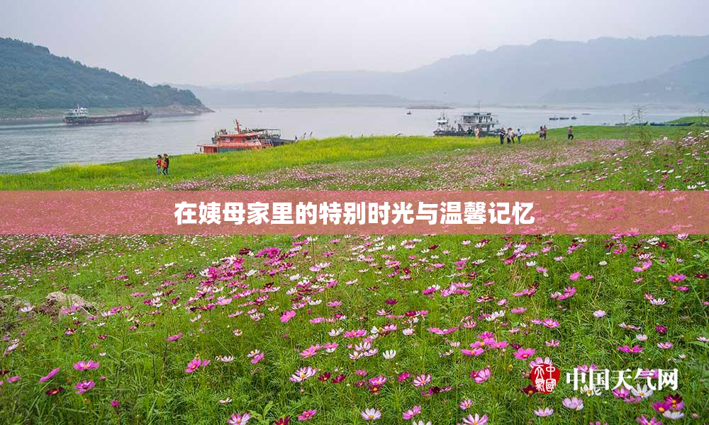 在姨母家里的特别时光与温馨记忆