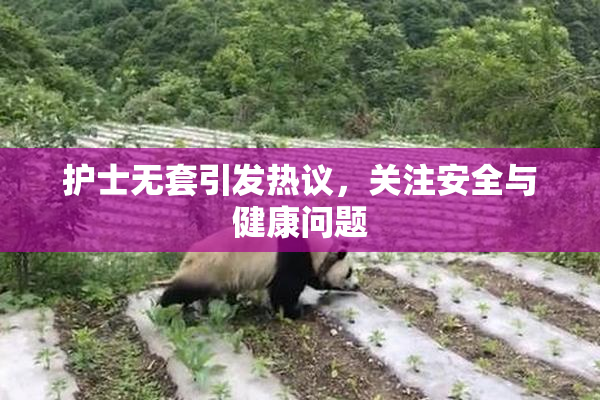 护士无套引发热议，关注安全与健康问题