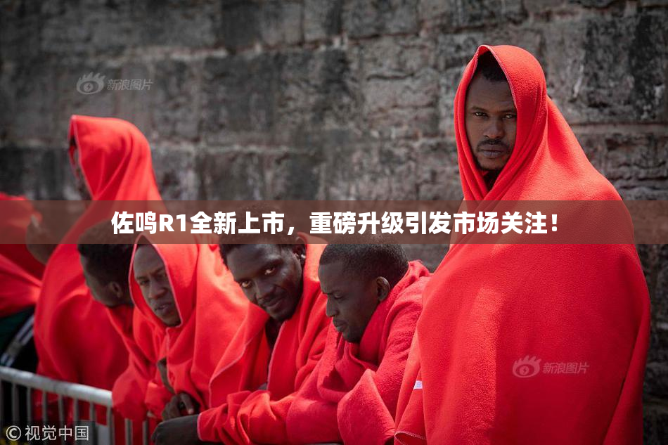 佐鸣R1全新上市，重磅升级引发市场关注！