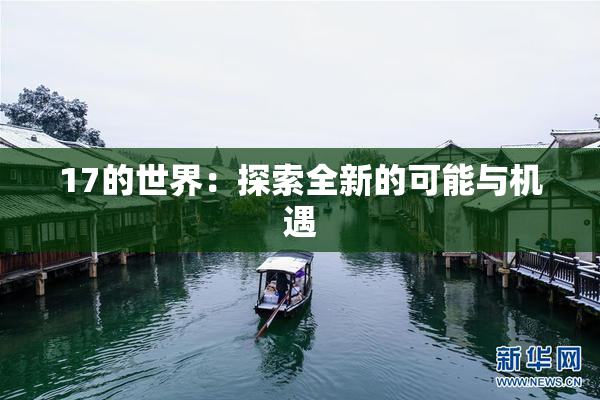 17的世界：探索全新的可能与机遇