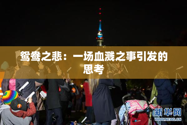 鸳鸯之悲：一场血溅之事引发的思考