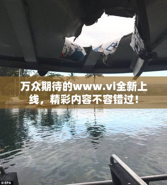 万众期待的www.vi全新上线，精彩内容不容错过！