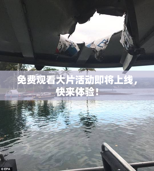 免费观看大片活动即将上线，快来体验！