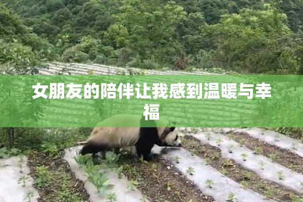 女朋友的陪伴让我感到温暖与幸福