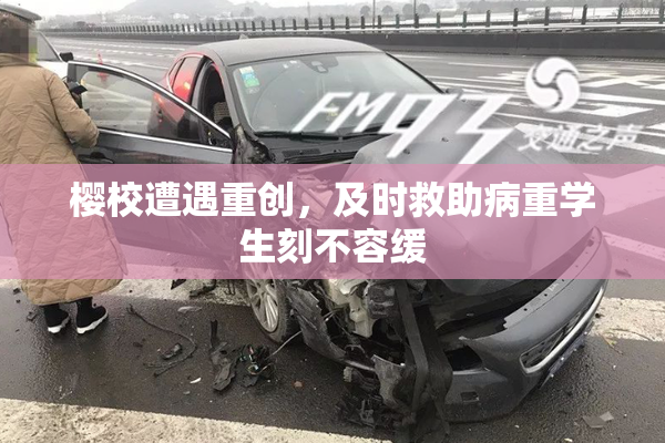 樱校遭遇重创，及时救助病重学生刻不容缓