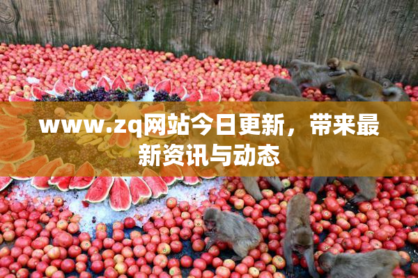 www.zq网站今日更新，带来最新资讯与动态