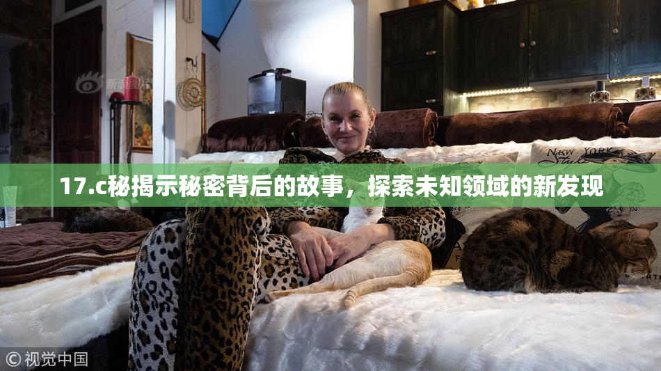 17.c秘揭示秘密背后的故事，探索未知领域的新发现