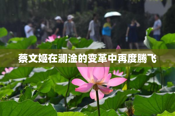 蔡文姬在澜淦的变革中再度腾飞