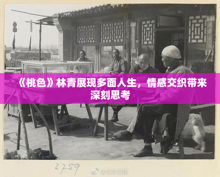《桃色》林青展现多面人生，情感交织带来深刻思考
