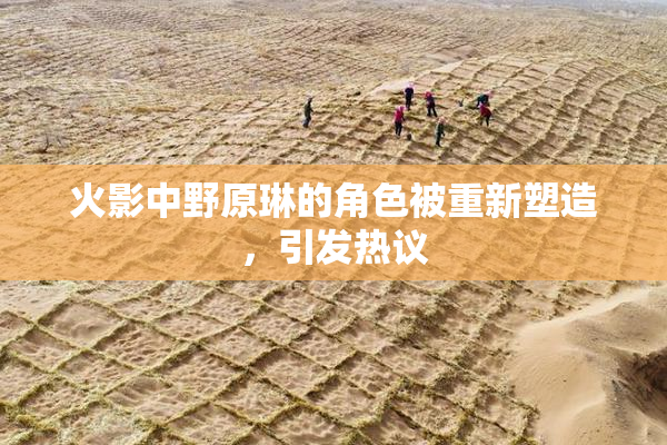 火影中野原琳的角色被重新塑造，引发热议
