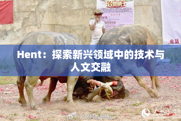 Hent：探索新兴领域中的技术与人文交融