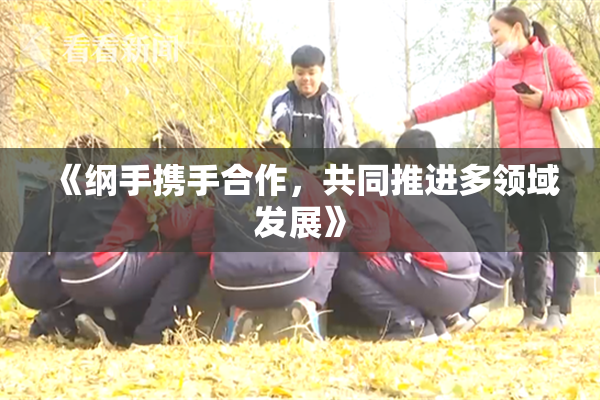 《纲手携手合作，共同推进多领域发展》