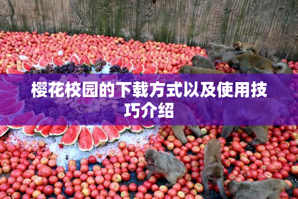 樱花校园的下载方式以及使用技巧介绍