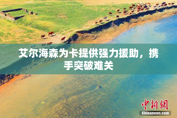 艾尔海森为卡提供强力援助，携手突破难关