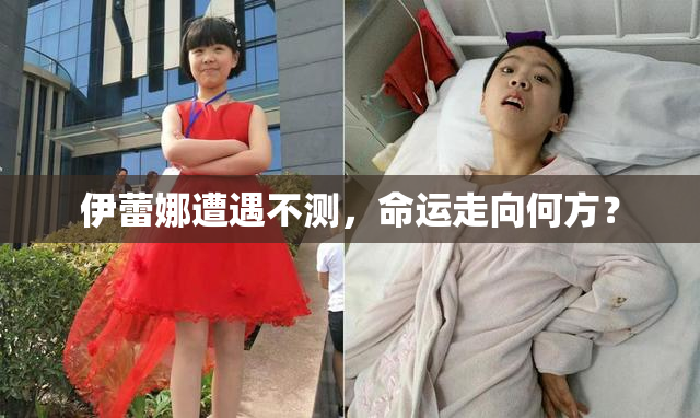 伊蕾娜遭遇不测，命运走向何方？