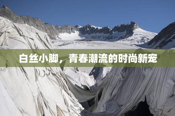 白丝小脚，青春潮流的时尚新宠
