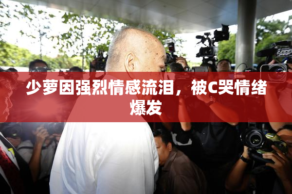 少萝因强烈情感流泪，被C哭情绪爆发
