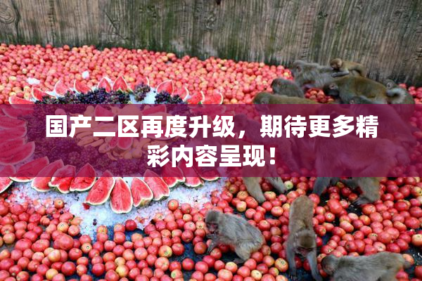 国产二区再度升级，期待更多精彩内容呈现！