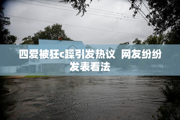 四爱被狂c躁引发热议  网友纷纷发表看法