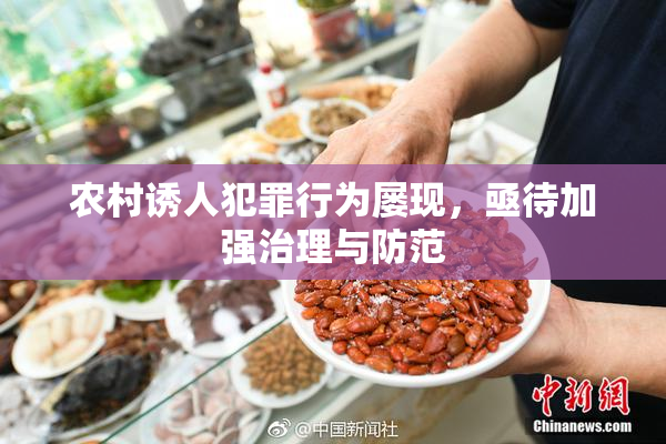 农村诱人犯罪行为屡现，亟待加强治理与防范