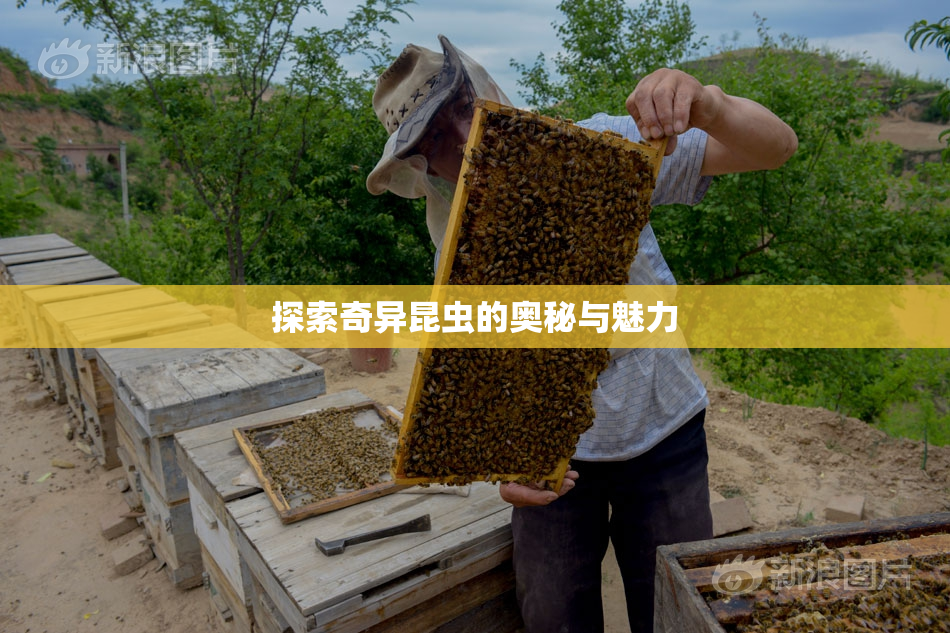 探索奇异昆虫的奥秘与魅力