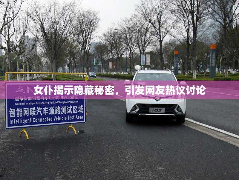女仆揭示隐藏秘密，引发网友热议讨论