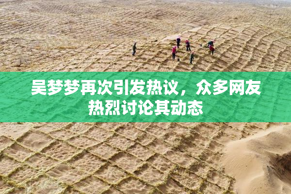 吴梦梦再次引发热议，众多网友热烈讨论其动态