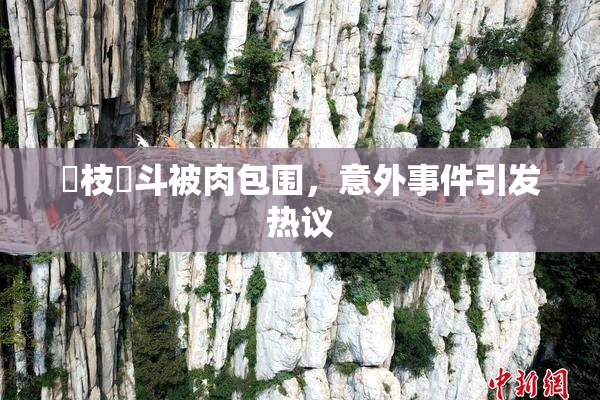 狛枝凪斗被肉包围，意外事件引发热议