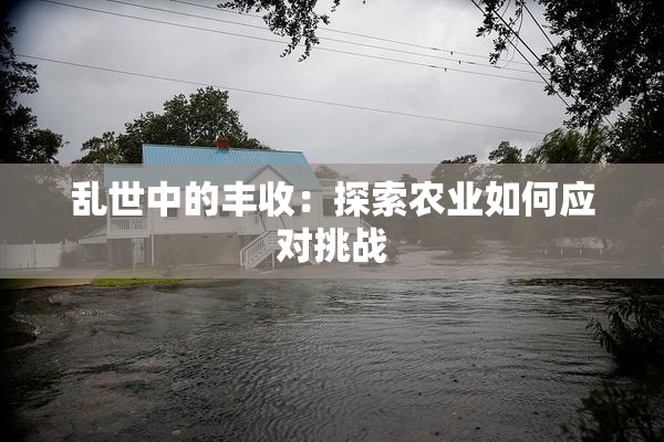 乱世中的丰收：探索农业如何应对挑战