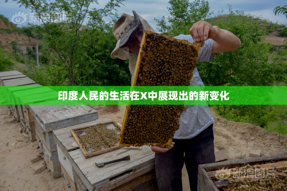 印度人民的生活在X中展现出的新变化
