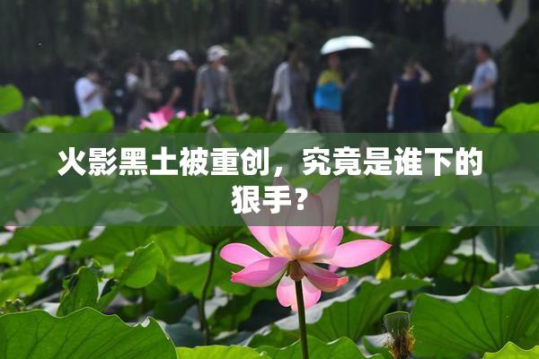 火影黑土被重创，究竟是谁下的狠手？